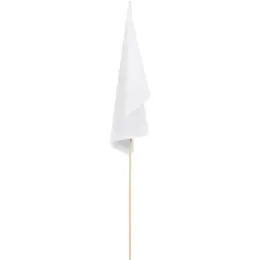 Champion Medium Hand Flag - 45cm x 30cm Blank